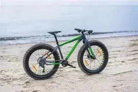 Exploring the Benefits of Electric Fat Tyre Bike in Australia - Electrified