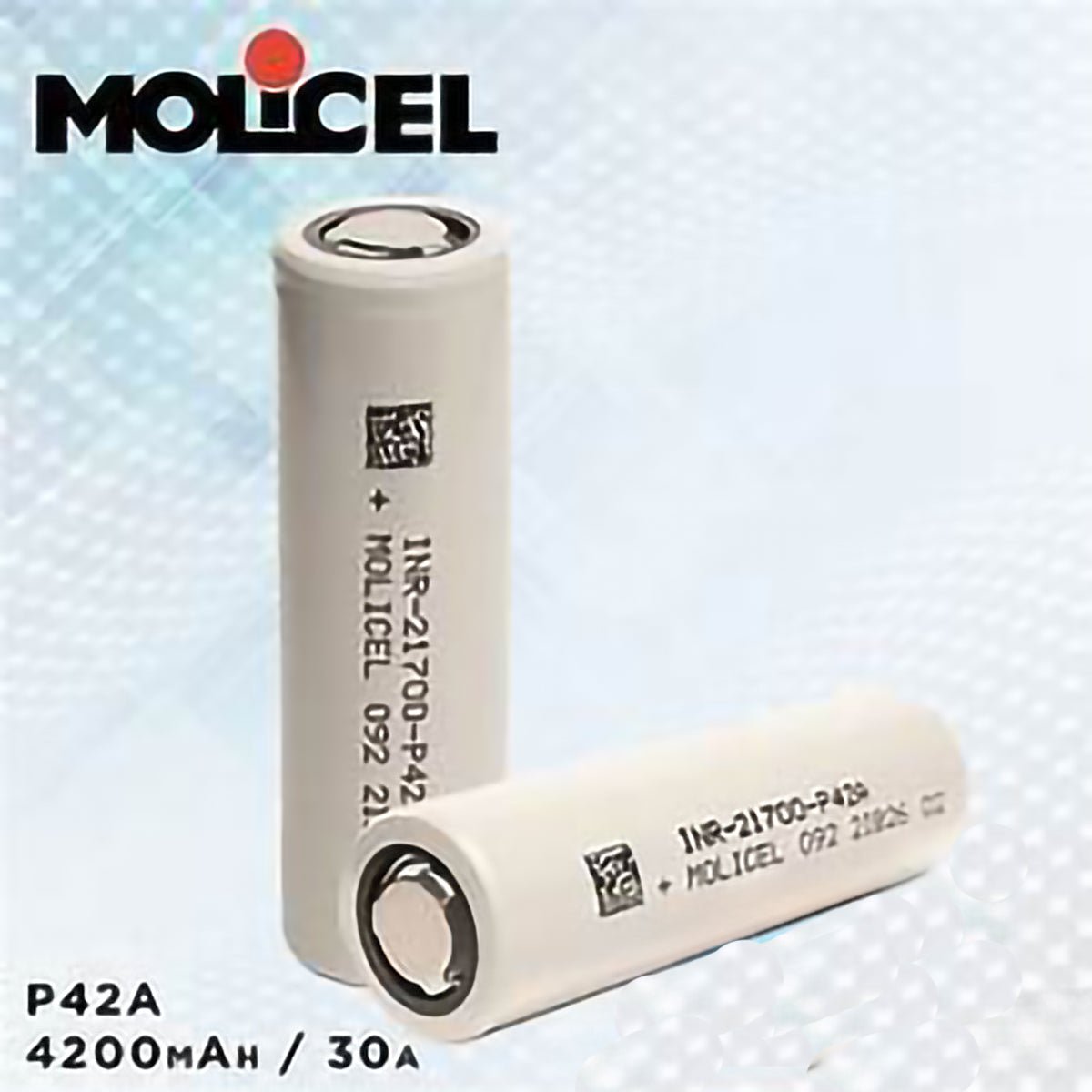 52V 21Ah Universal Lithium Ion Battery Pack Molicel Cells Electrified