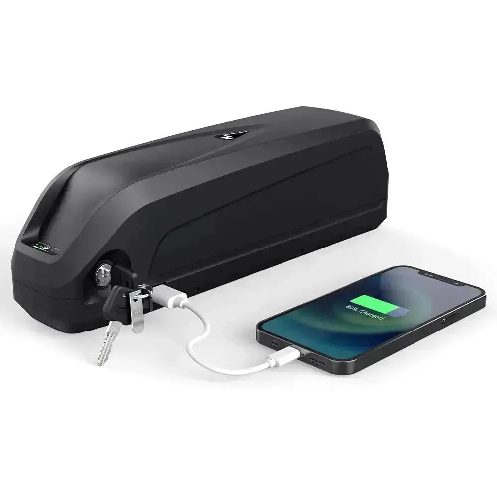 Hailong Lithium Ebike Battery Buy Online Electrified