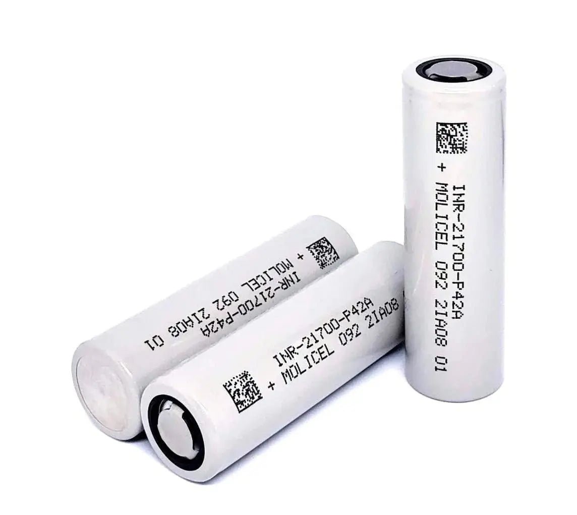 Molicel P42A Ebike Lithium Batteries Electrified