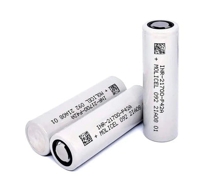 Molicel P42A Ebike Lithium Batteries Electrified